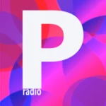 music radio for pandora android application logo